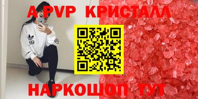 ECSTASY Дубна