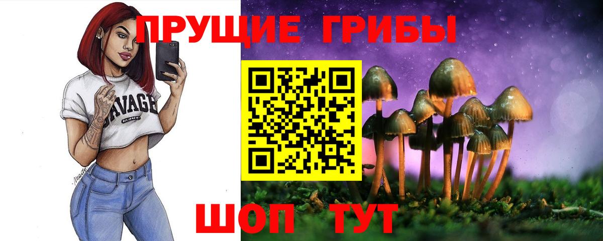 Псилоцибиновые грибы прущие грибы Ноябрьск